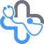 BDMS logo